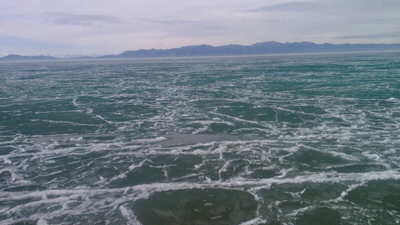 保定蛋糕培訓(xùn)學(xué)校