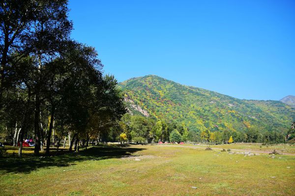 玉林西點(diǎn)蛋糕培訓(xùn)