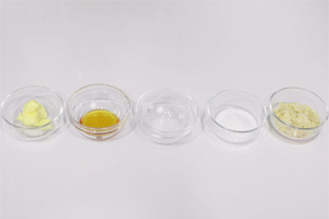 法式羅馬盾牌做法，羅馬盾牌餅干做法圖文教程