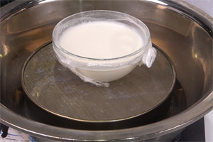 芒果雪媚娘的做法大全，芒果雪媚娘西點(diǎn)培訓(xùn)圖文步驟圖分享