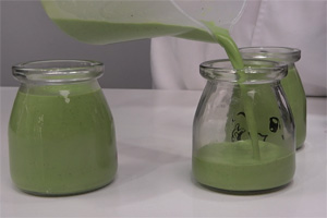 抹茶布丁的做法大全，抹茶布丁西點(diǎn)培訓(xùn)圖文教程分享