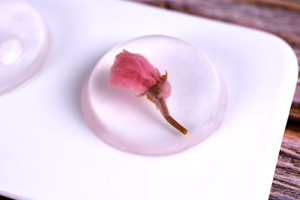 水信玄餅的做法大全，水信玄餅西點(diǎn)培訓(xùn)圖文步驟教程分享