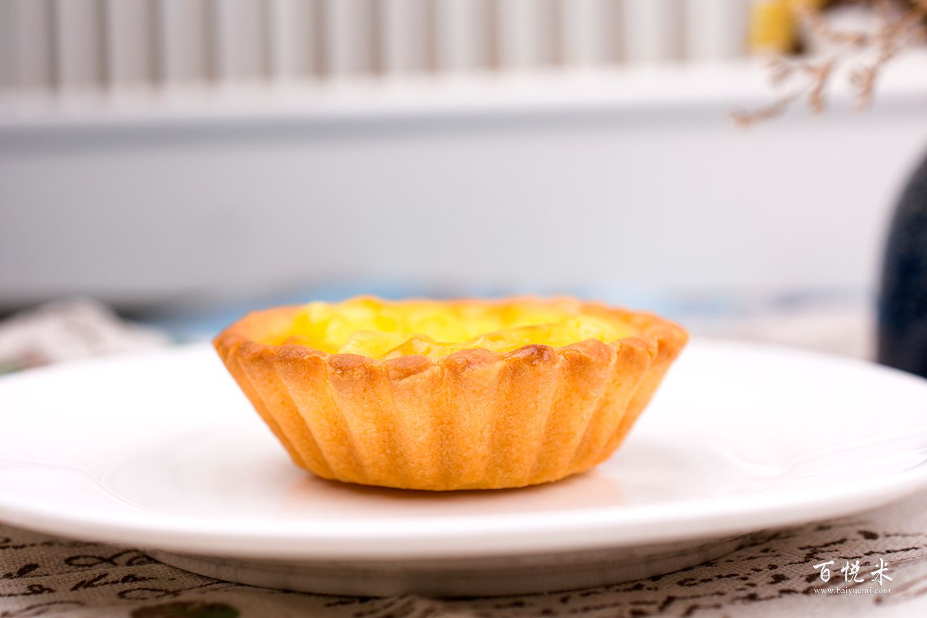 流心芝士撻高清圖片大全【蛋糕圖片】_783