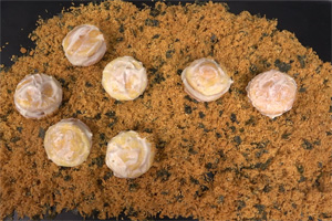 海苔肉松拉絲小貝的做法大全，肉松小貝西點(diǎn)培訓(xùn)圖文教程分享