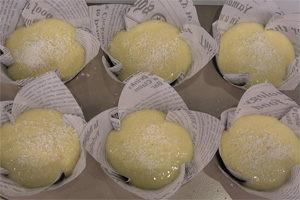 椰蓉哈雷紙杯蛋糕的做法大全，椰蓉哈雷紙杯蛋糕培訓(xùn)怎么做